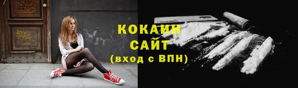 тгк Алексин